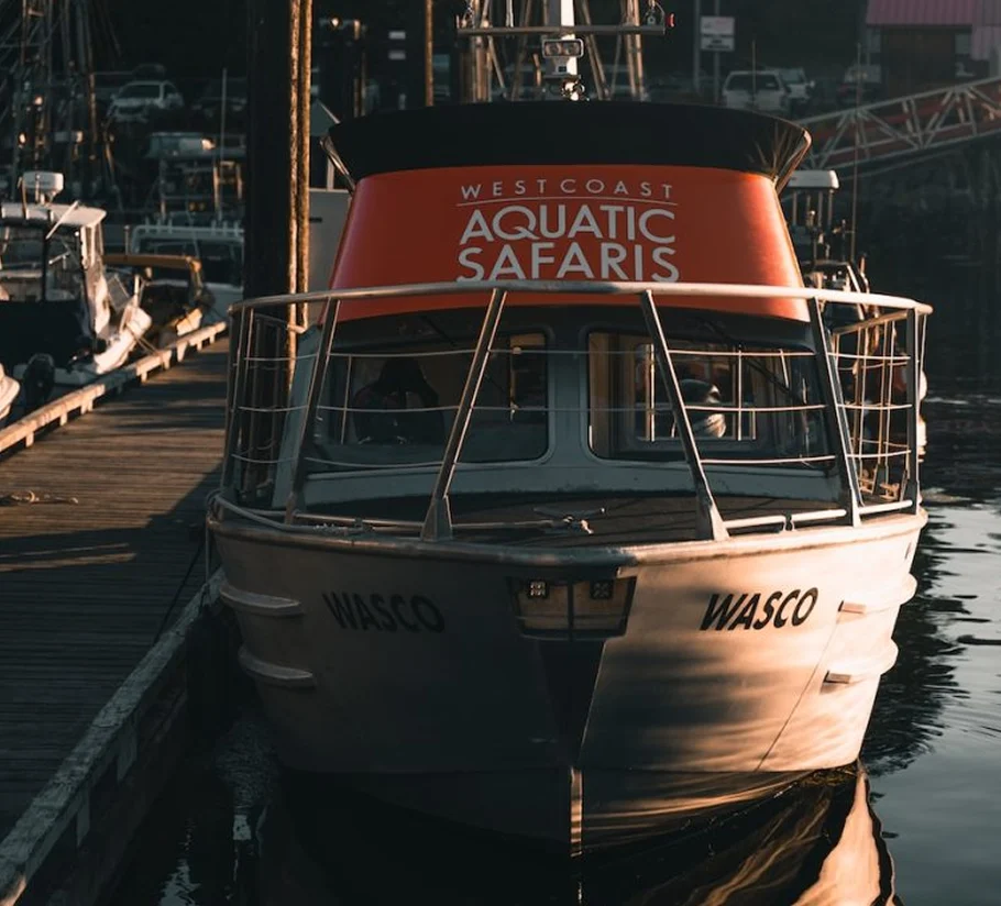 Das Ausflugsboot von „West Coast Aquatic Safaris“ lag in einem Yachthafen vor Anker.