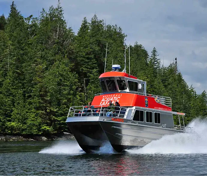 Ein Ausflugsboot von West Coast Aquatic Safaris fährt an einem bewaldeten Ufer entlang.