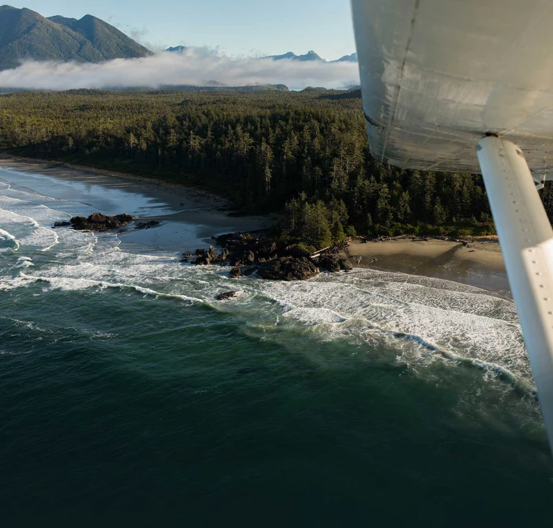 Aerial view of a rugged coastline and forest from a seaplane.