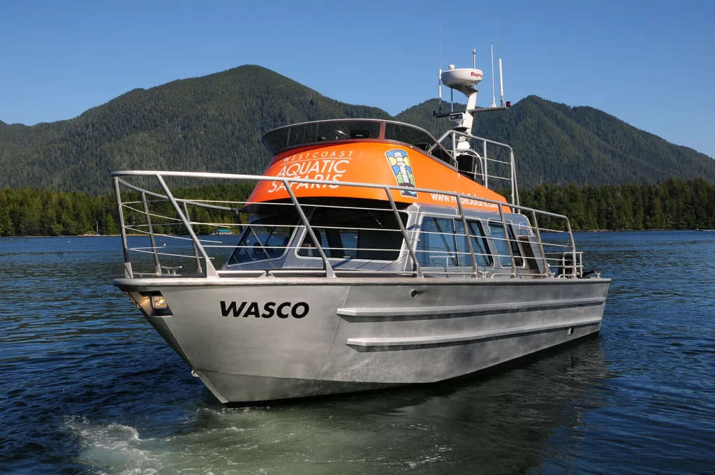 Tour boat on coastal water with forested mountains behind.